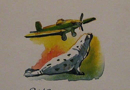 Seal with Plane 